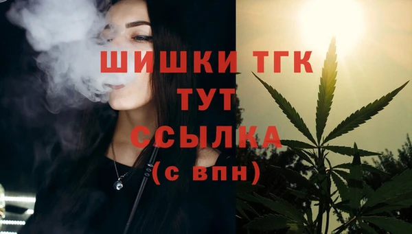 spice Новозыбков