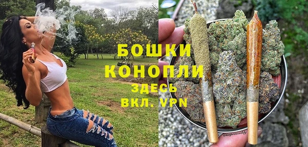 spice Новозыбков
