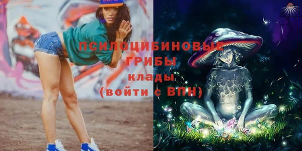 мдпв Нязепетровск