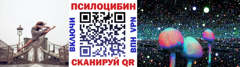 Галлюциногенные грибы Psilocybine cubensis  Туринск 